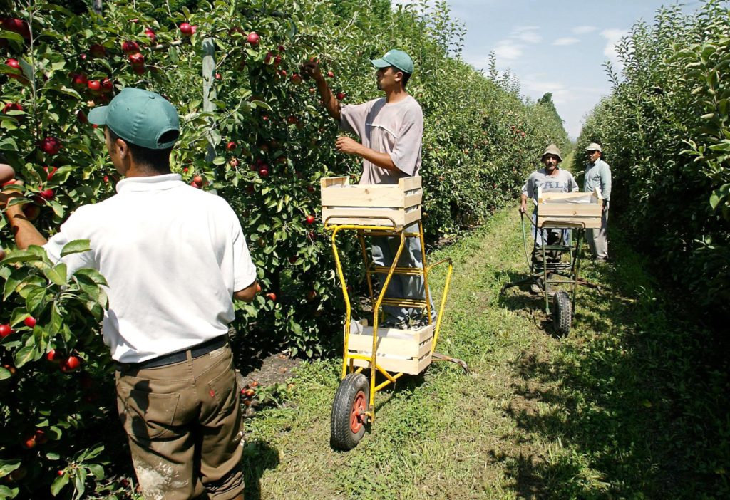 AGRICULTURE-IMMIGRATION