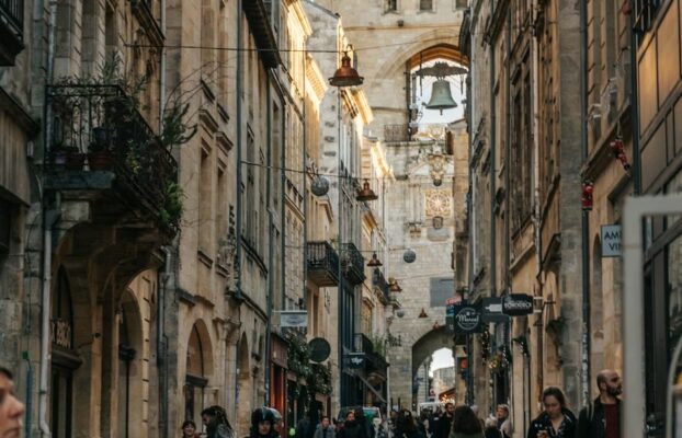 Naturalization figures in France